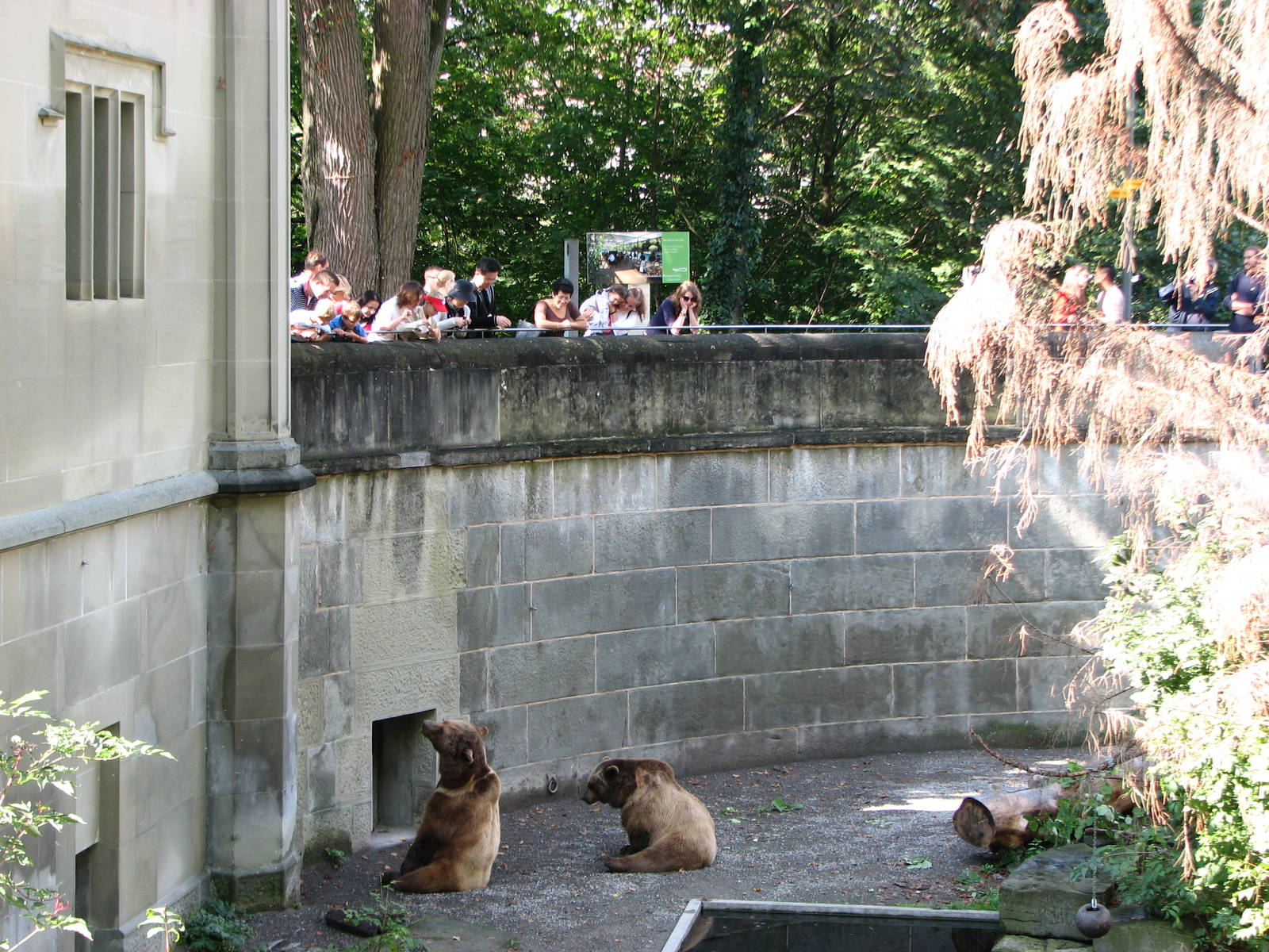 Bern Bear Pits 2006 - The larger pit