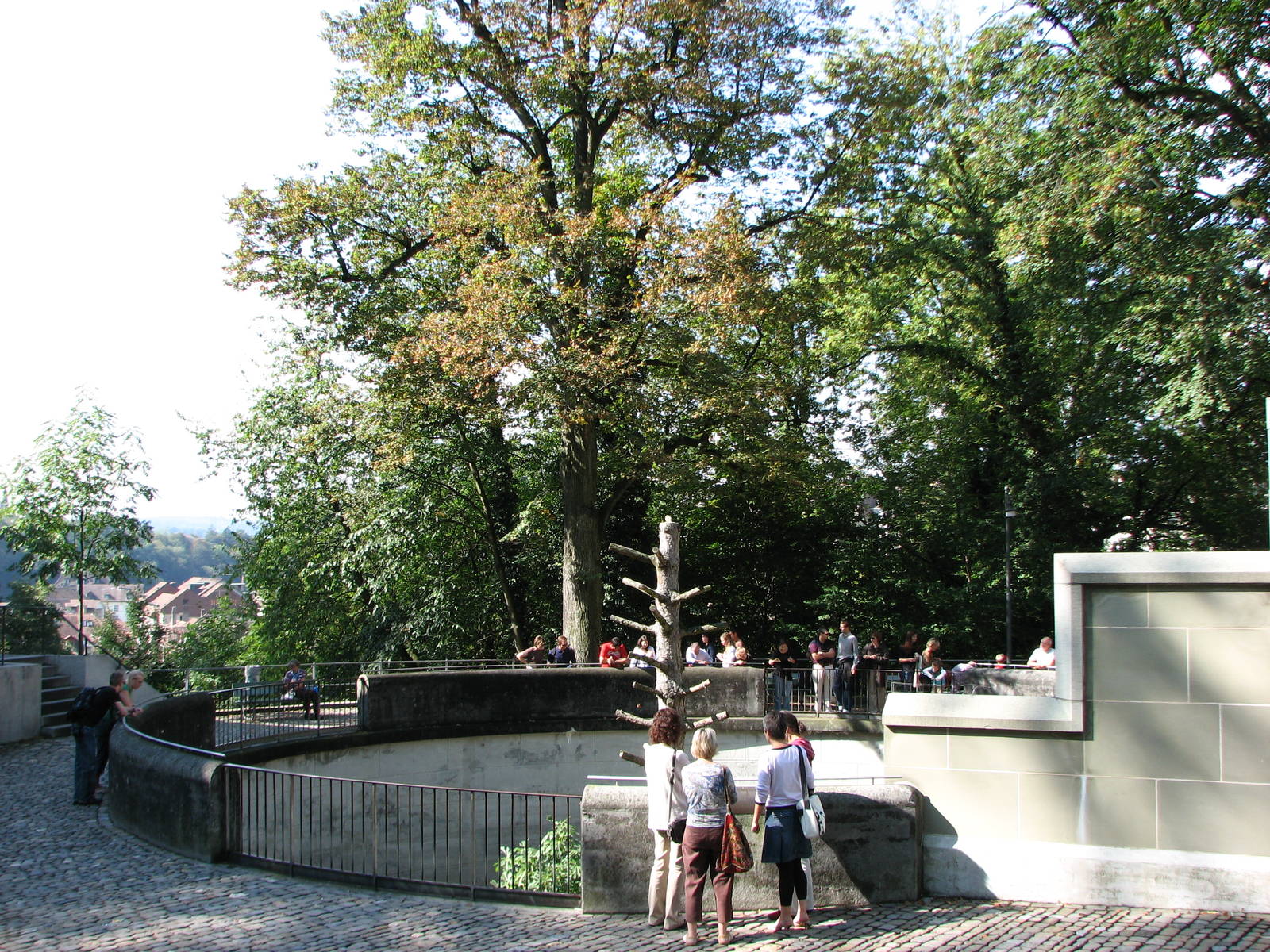 Bern Bear Pits 2006 - Top-view of the smaller pit