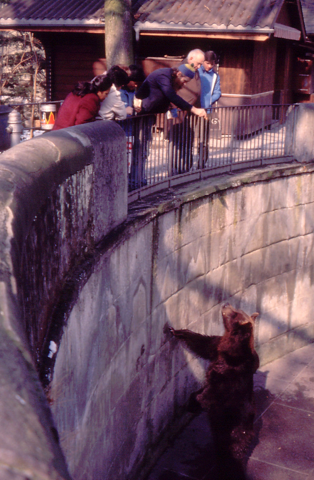 Berne Bear Pits - 1984