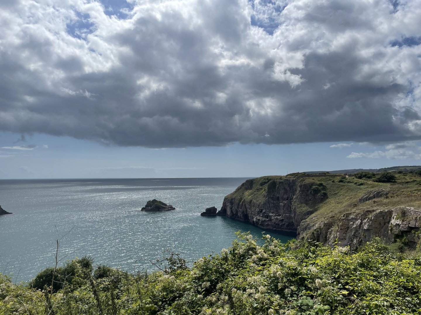 Berry Head NNR, Devon