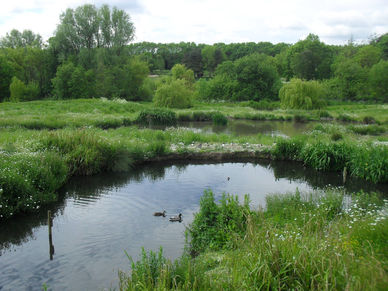 Best Crane Enclosure?