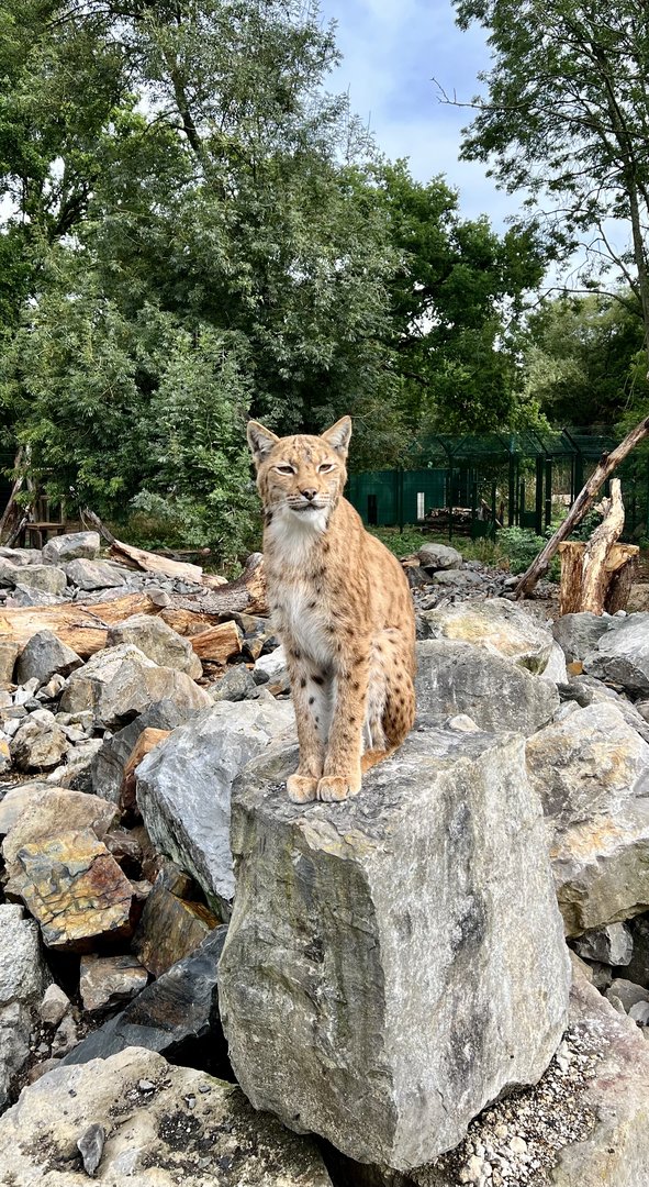Best Pocohontas impression standing looking all noble on a rock!