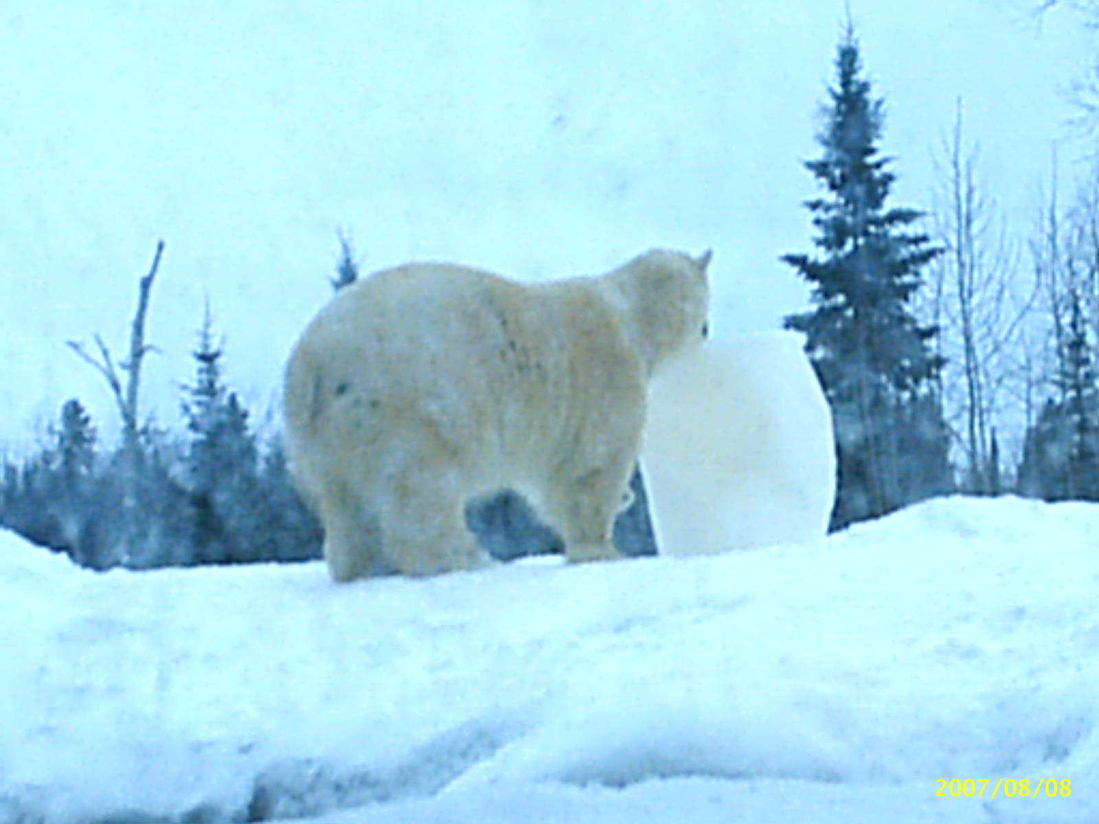 Better save the fun for later