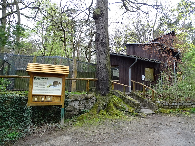 Bettong + brush-tail possum enclosure (04/23)