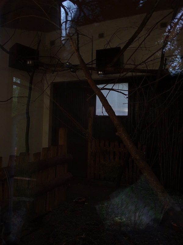 Bettong + brush-tail possum indoor enclosure (04/23)