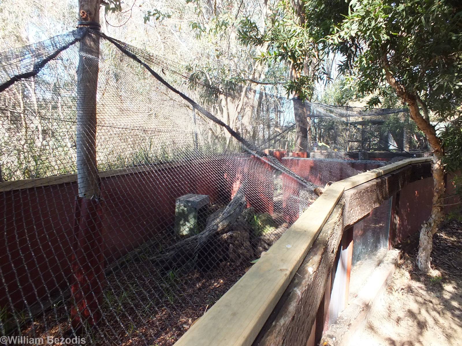 Bettong Enclosure