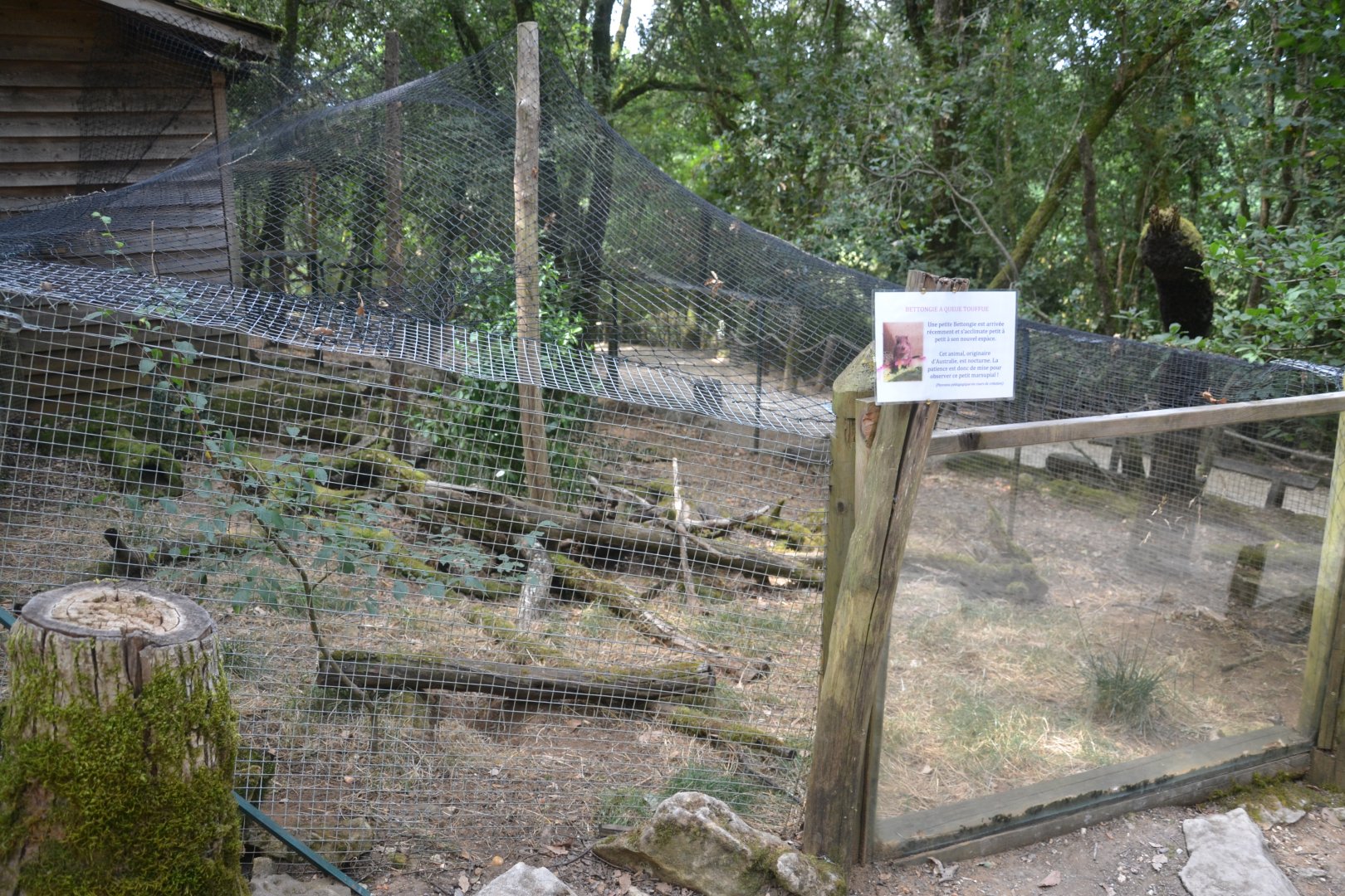 Bettong enclosure