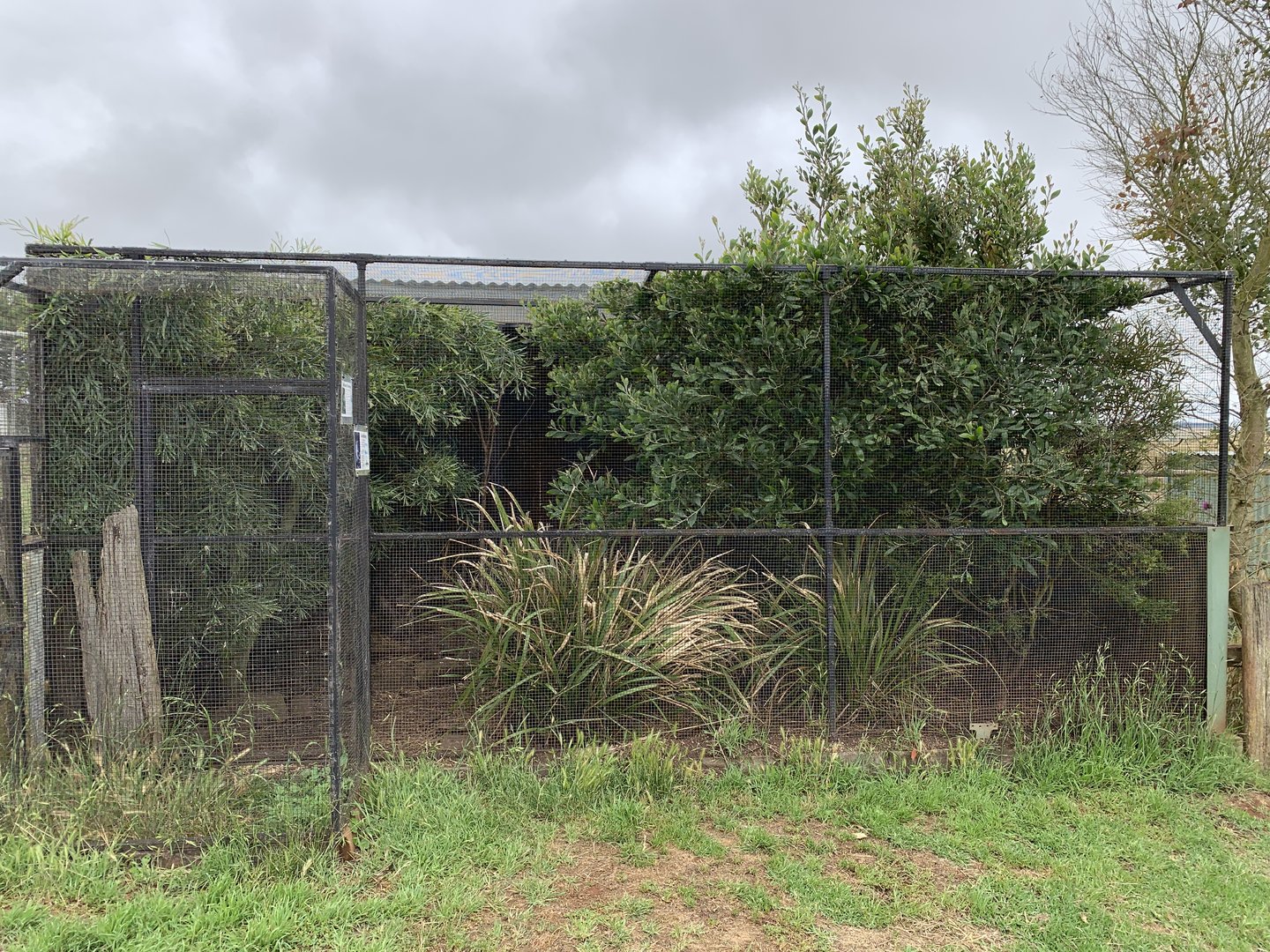 Bettong Enclosure
