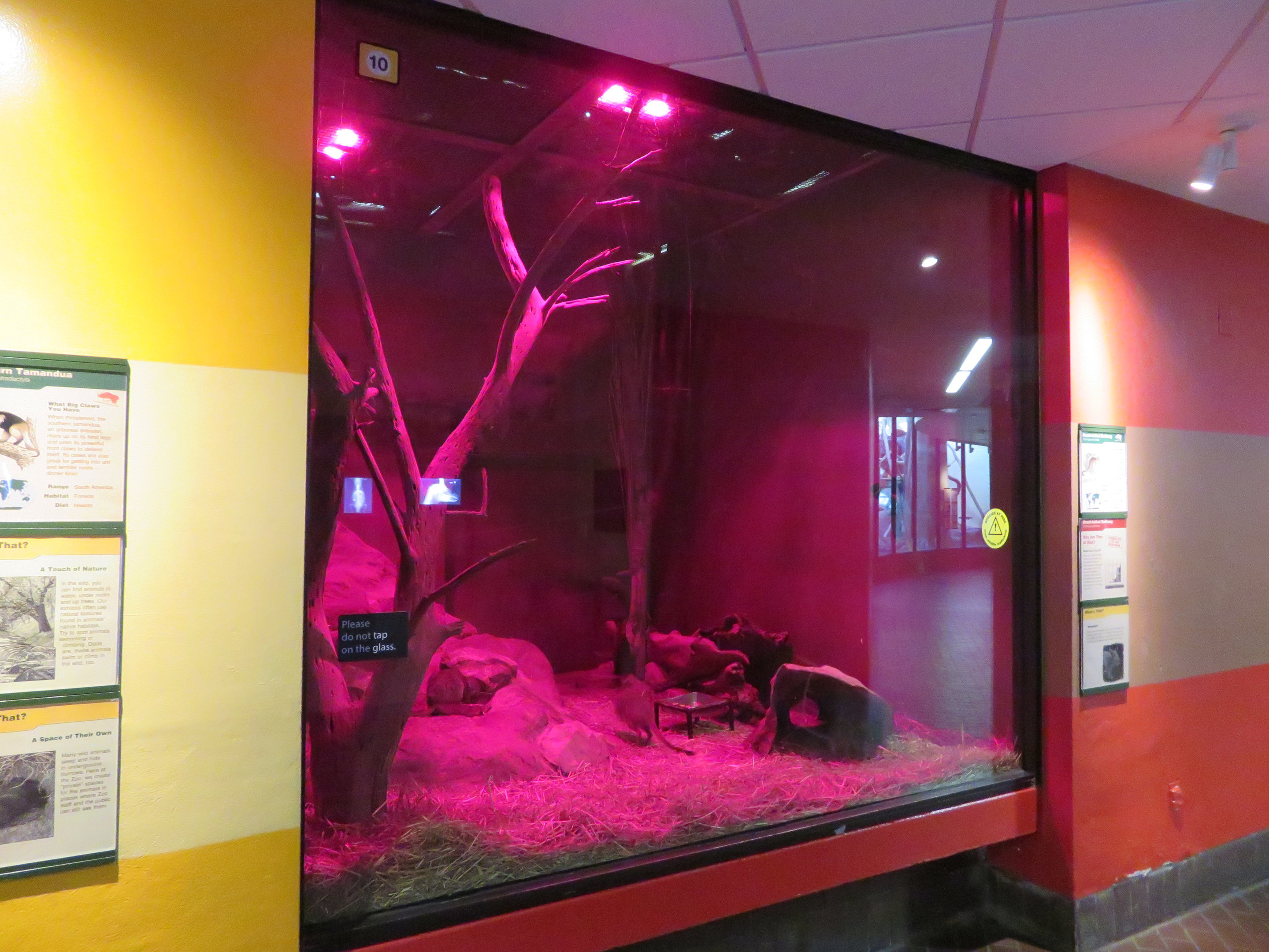 Bettong Exhibit
