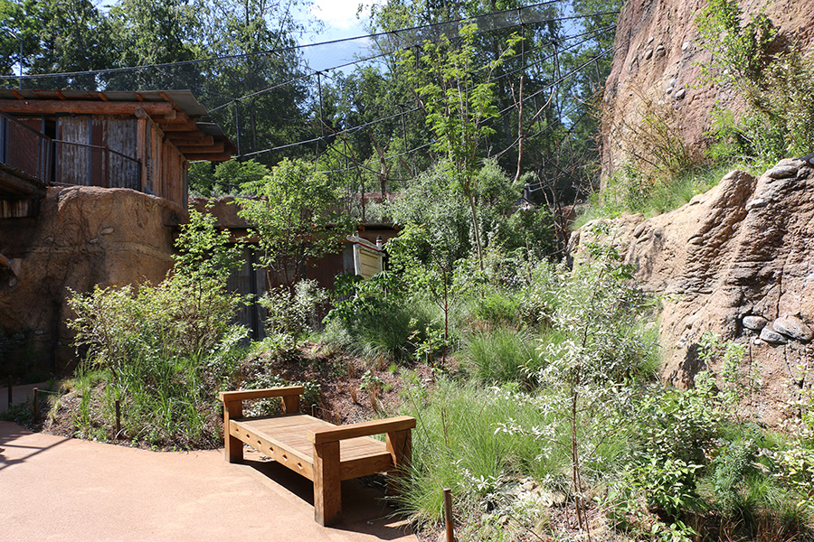 between aviary and giraffe and rhino house