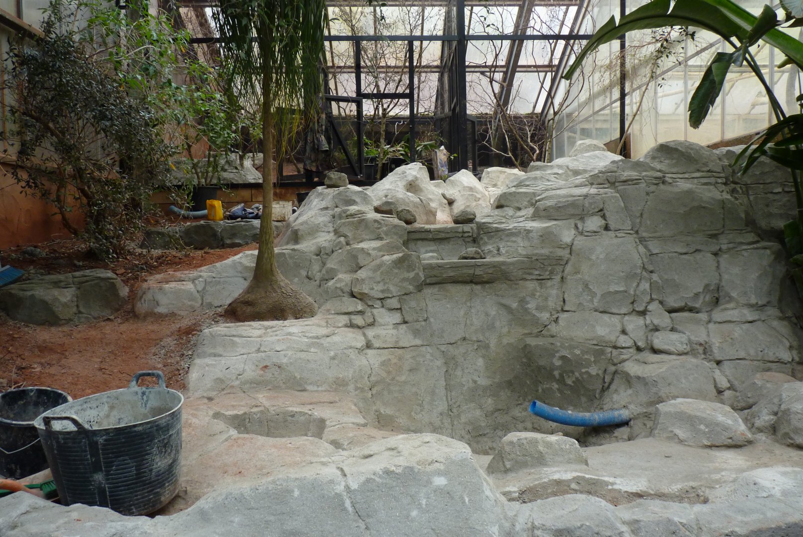 Between Desert and Tropics, March 2017