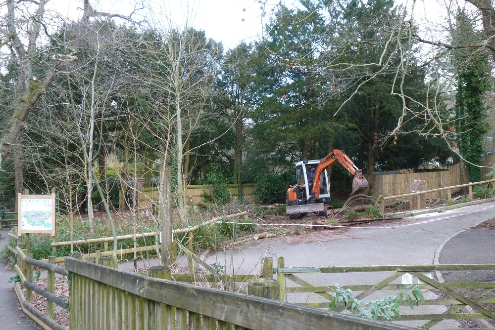 Between the Rhinos and Swamp Monkeys 15 February 2012