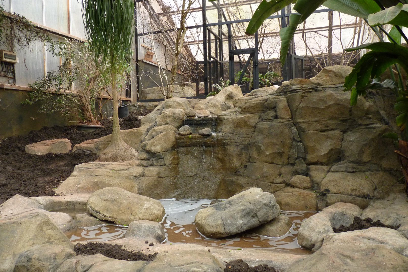 Between Tropics and Desert, April 2017