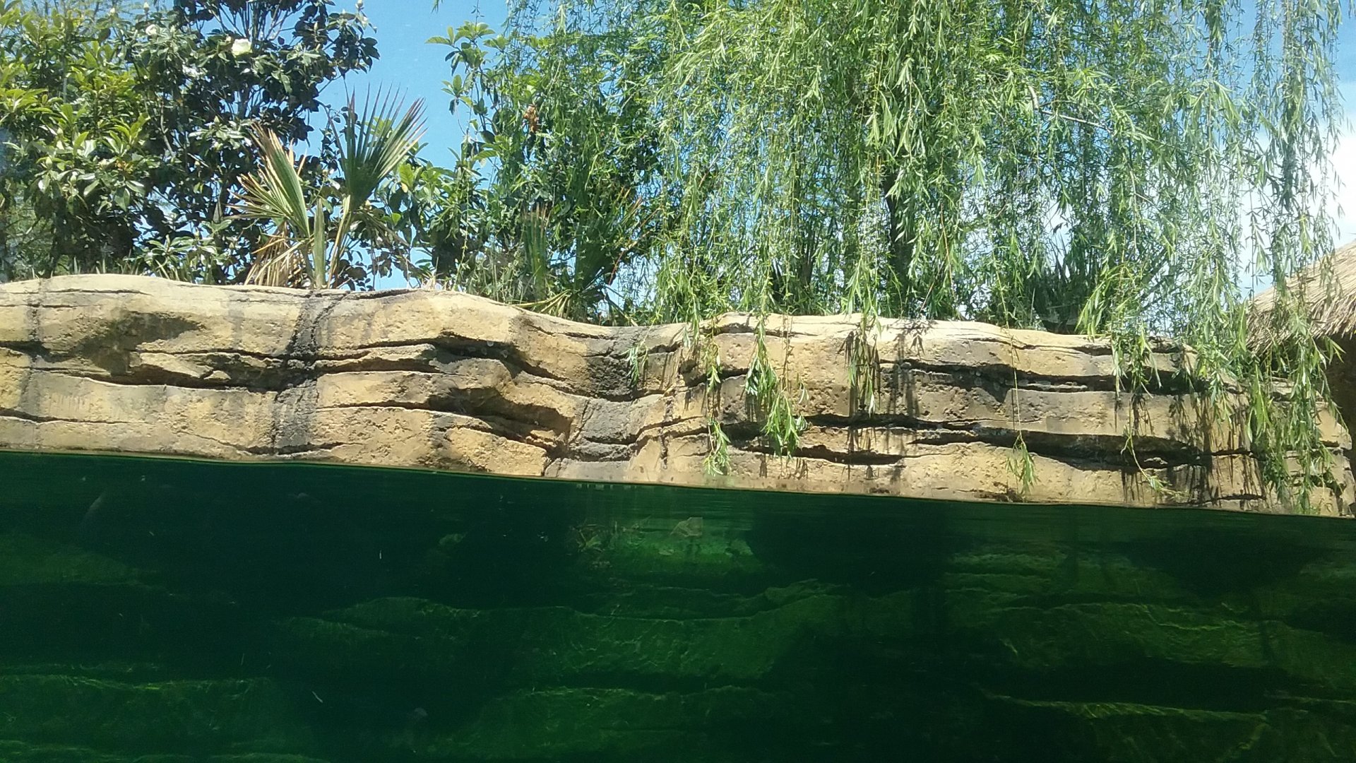 Between water and land