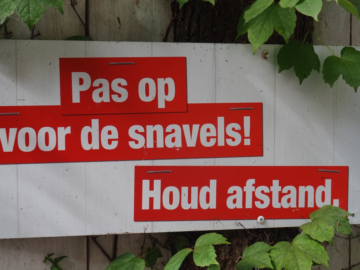 Beware of the beaks, keep your distance sign