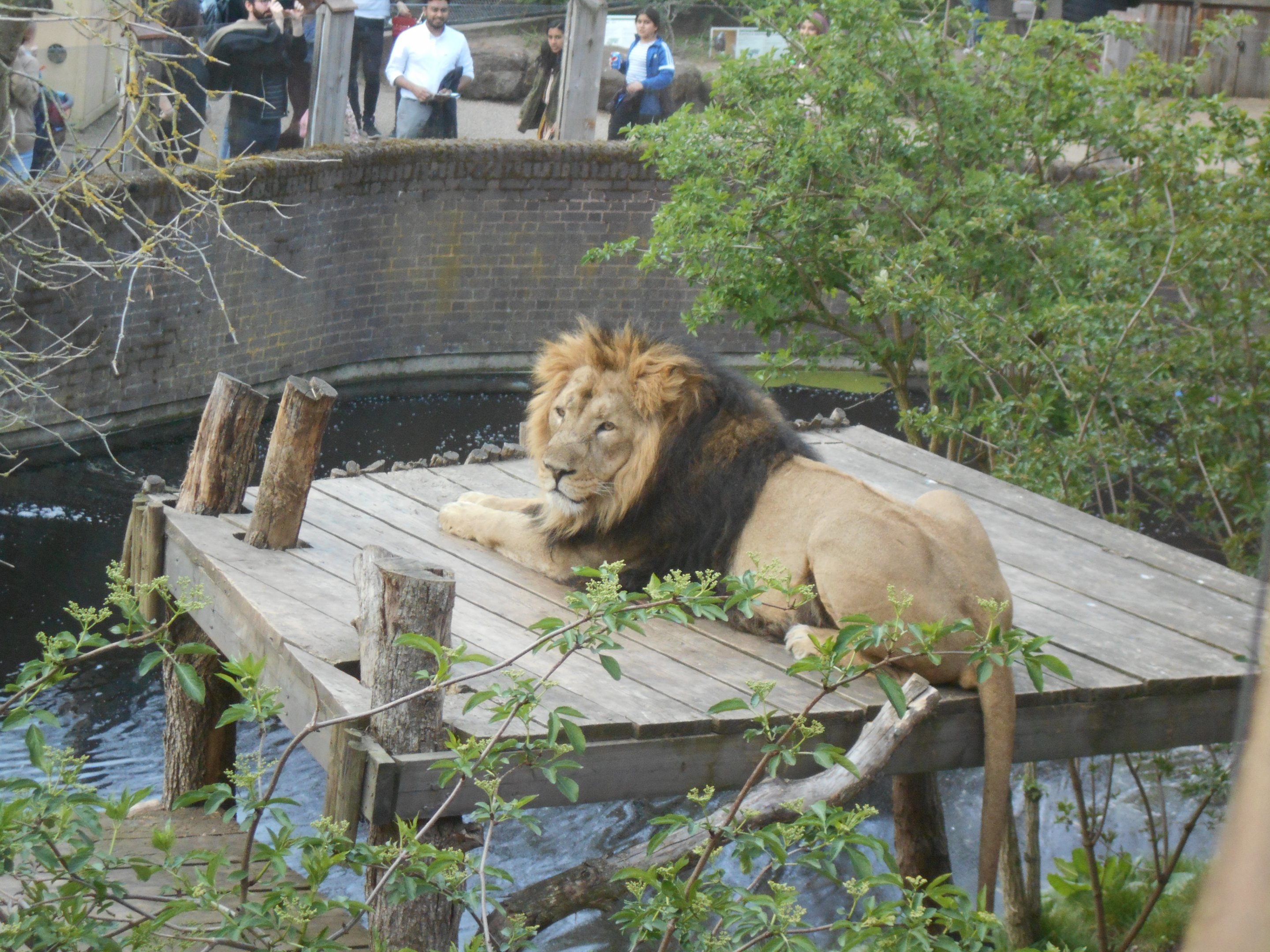 Bhanu. 30 March 2019