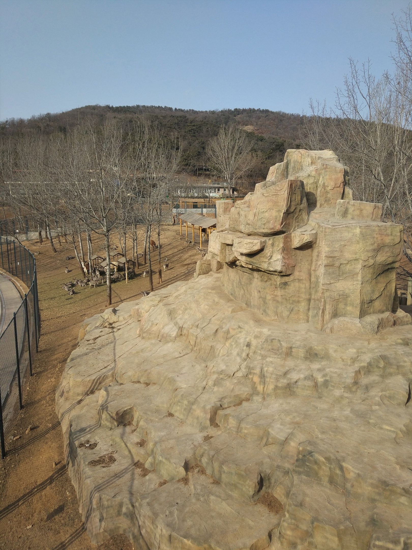 Bharal and Alpaca Exhibit