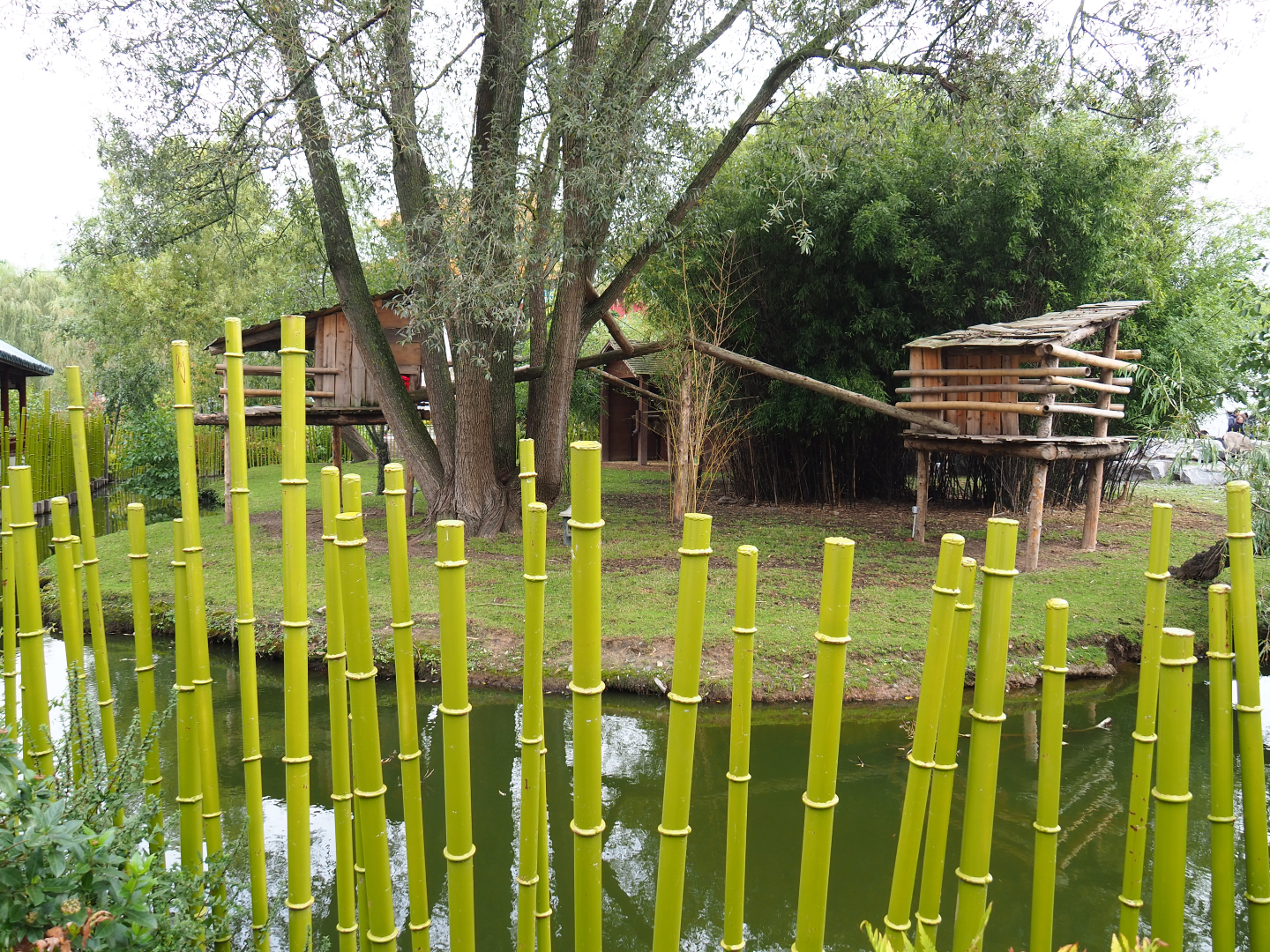 Bharal and Binturong exhibit, 2019-10-05