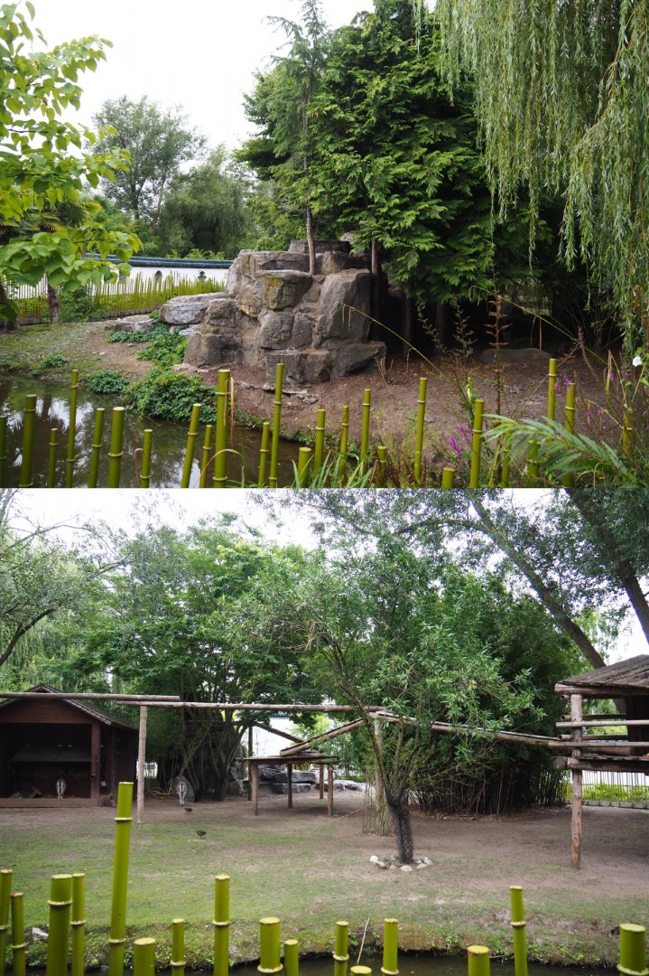 Bharal and Binturong exhibit, 2020-09-03