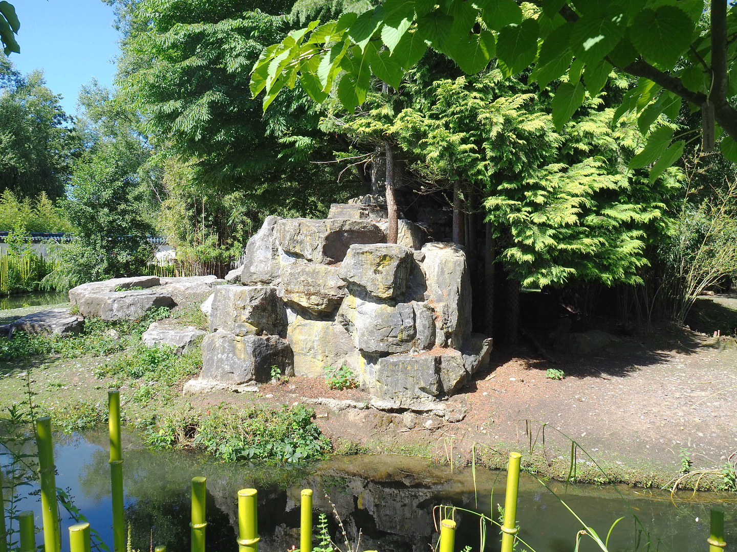 Bharal and binturong exhibit, 2022-06-28