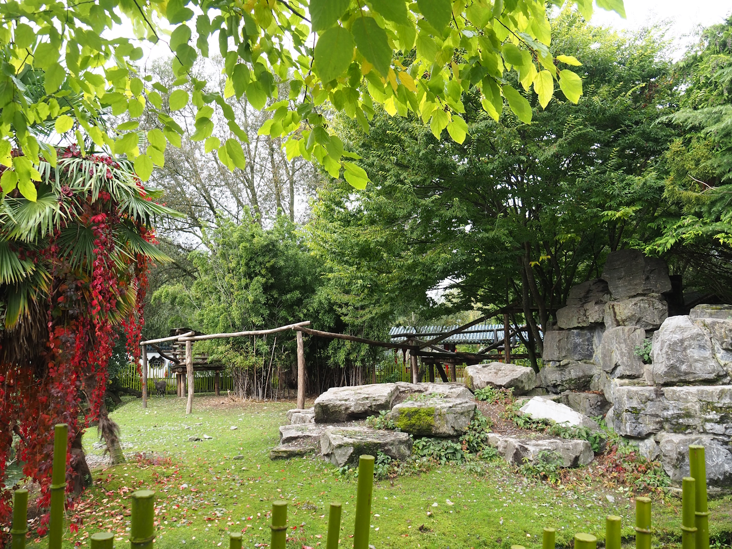 Bharal and Binturong exhibit, 2023-10-13