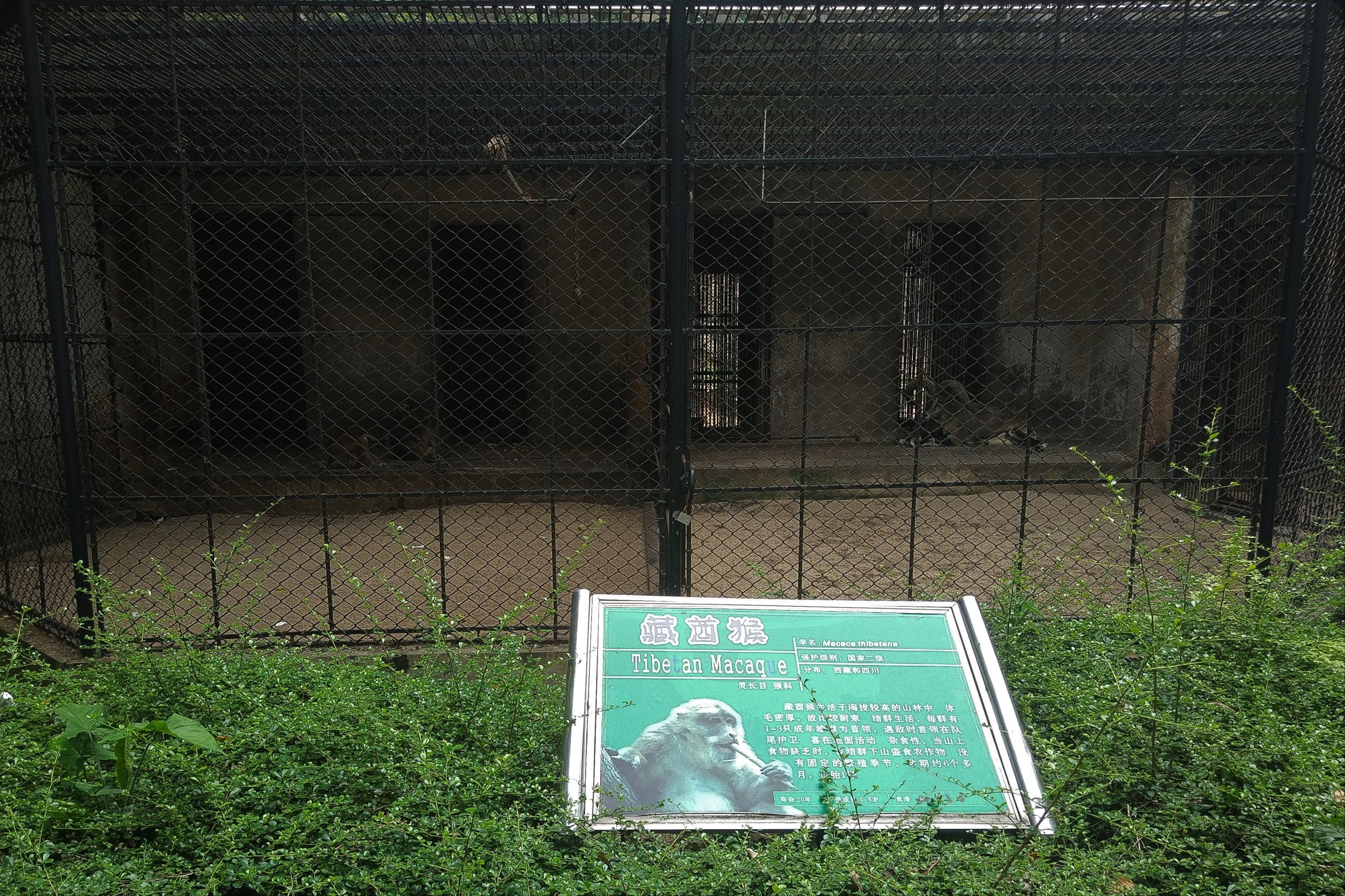 Bharal and Tibetan Macaque Cages