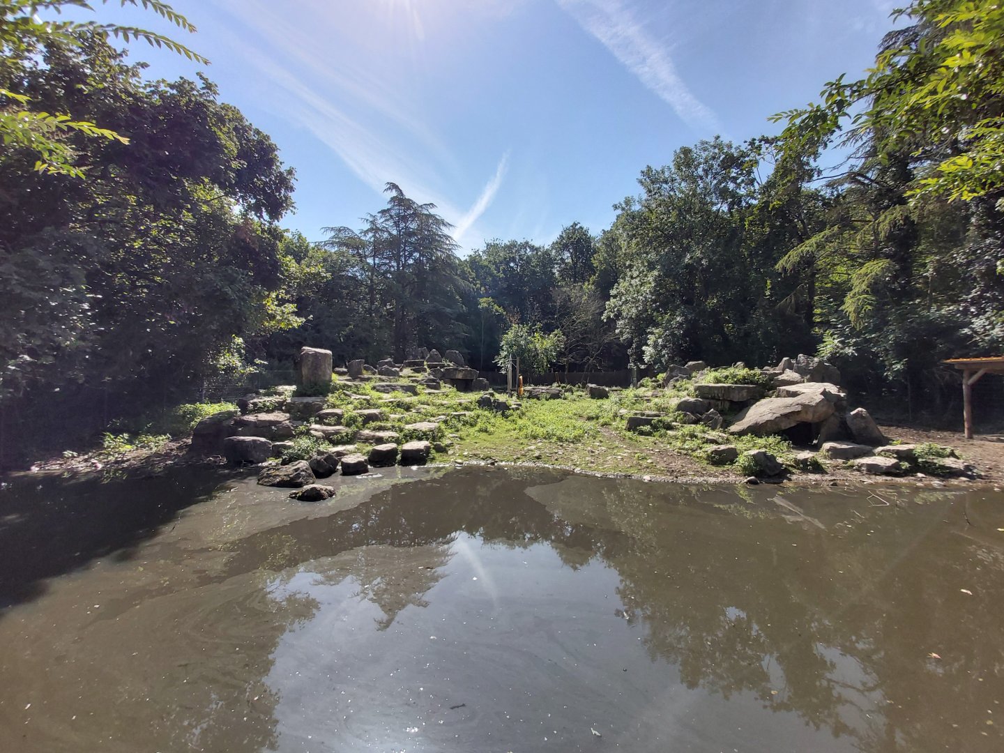 Bharal, Shensi and Sichuan takin enclosure