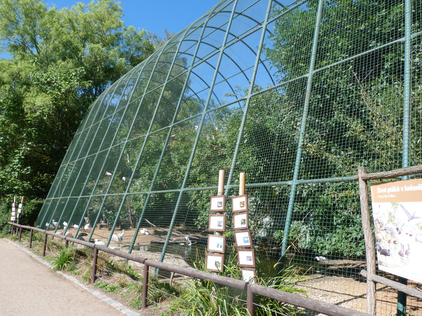 Big african aviary -Zoo Plzeň (2025)