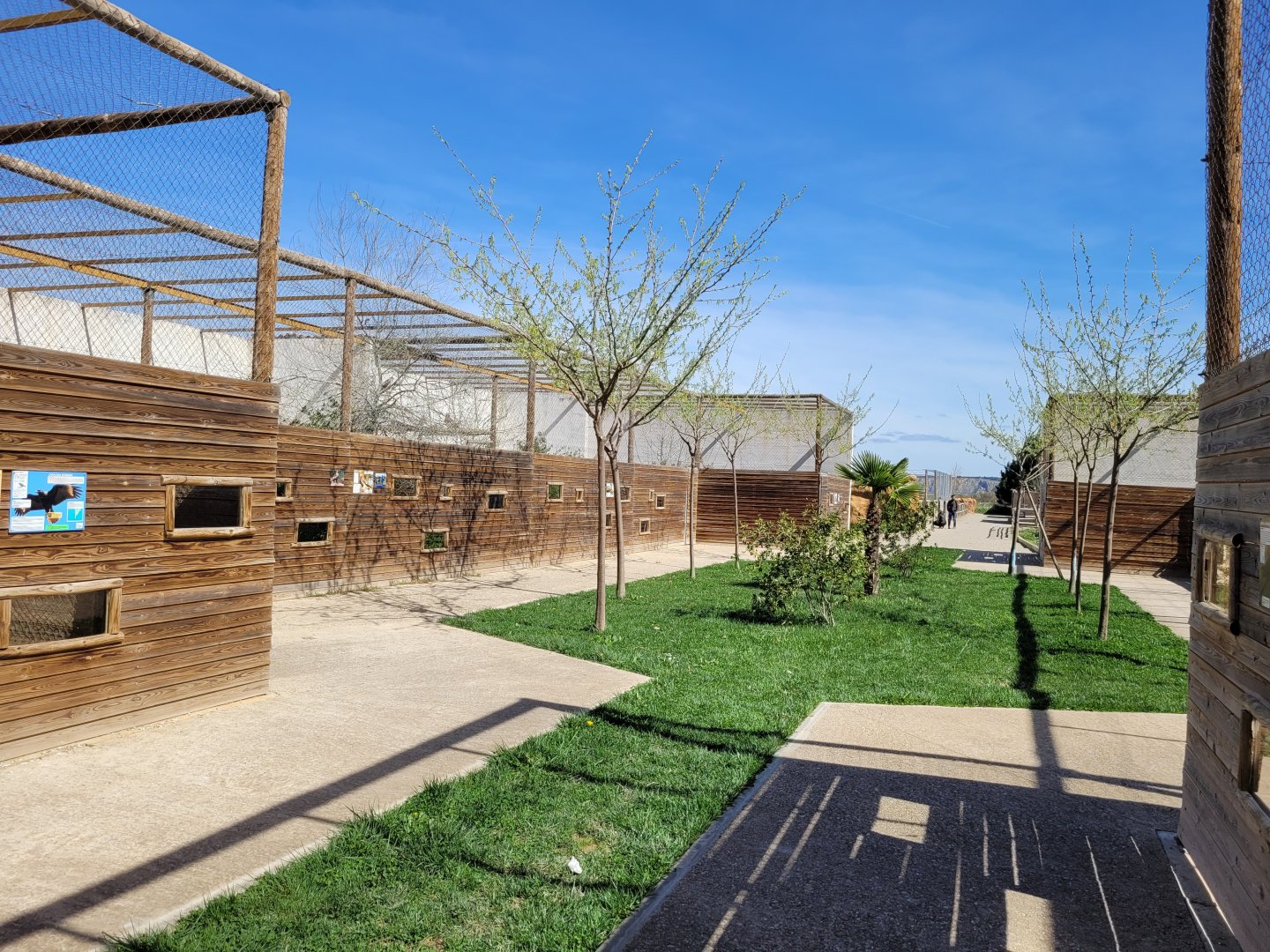 Big aviaries -Tierra Rapaz (2024)