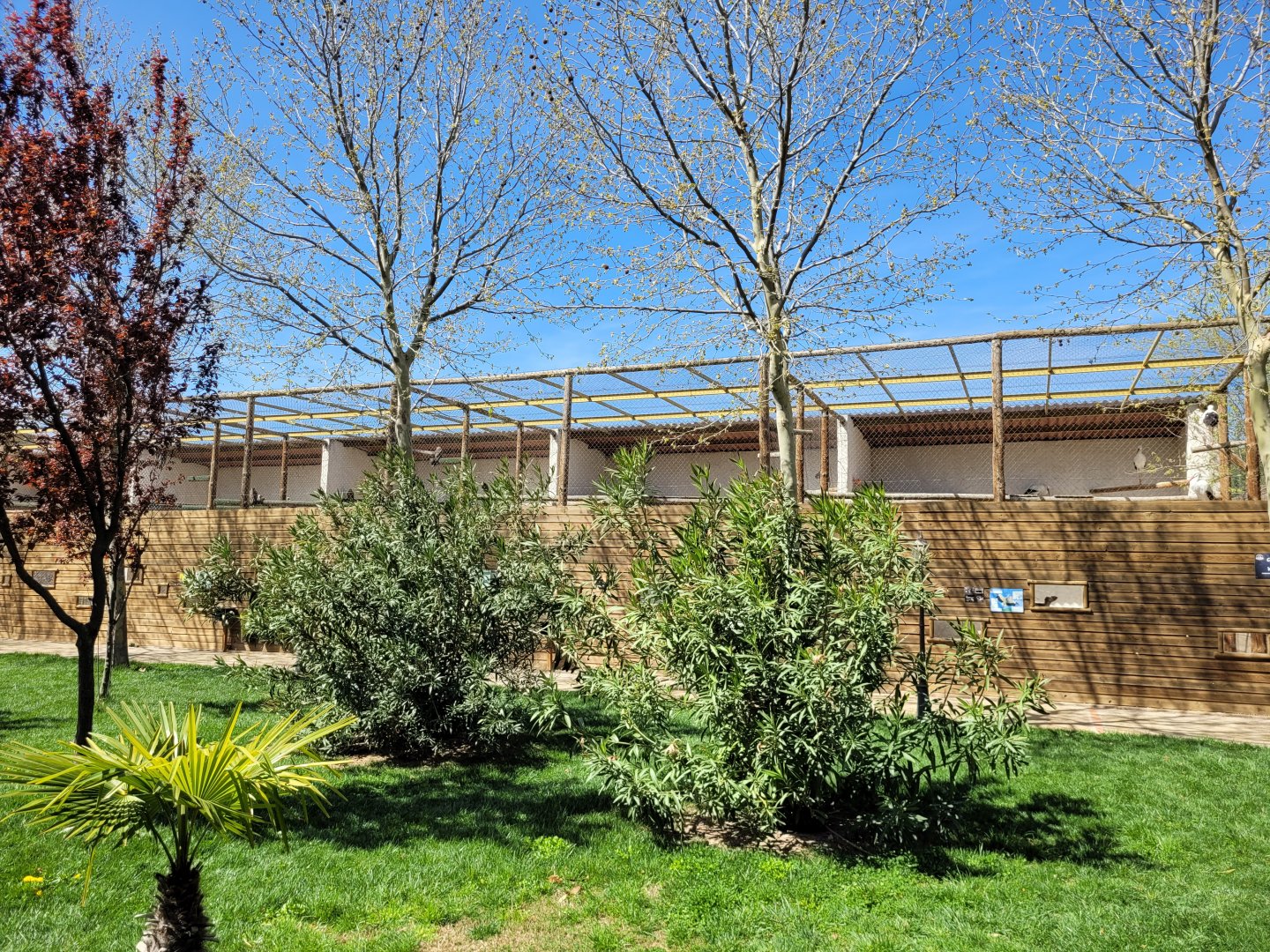 Big aviaries view -Tierra Rapaz (2024)