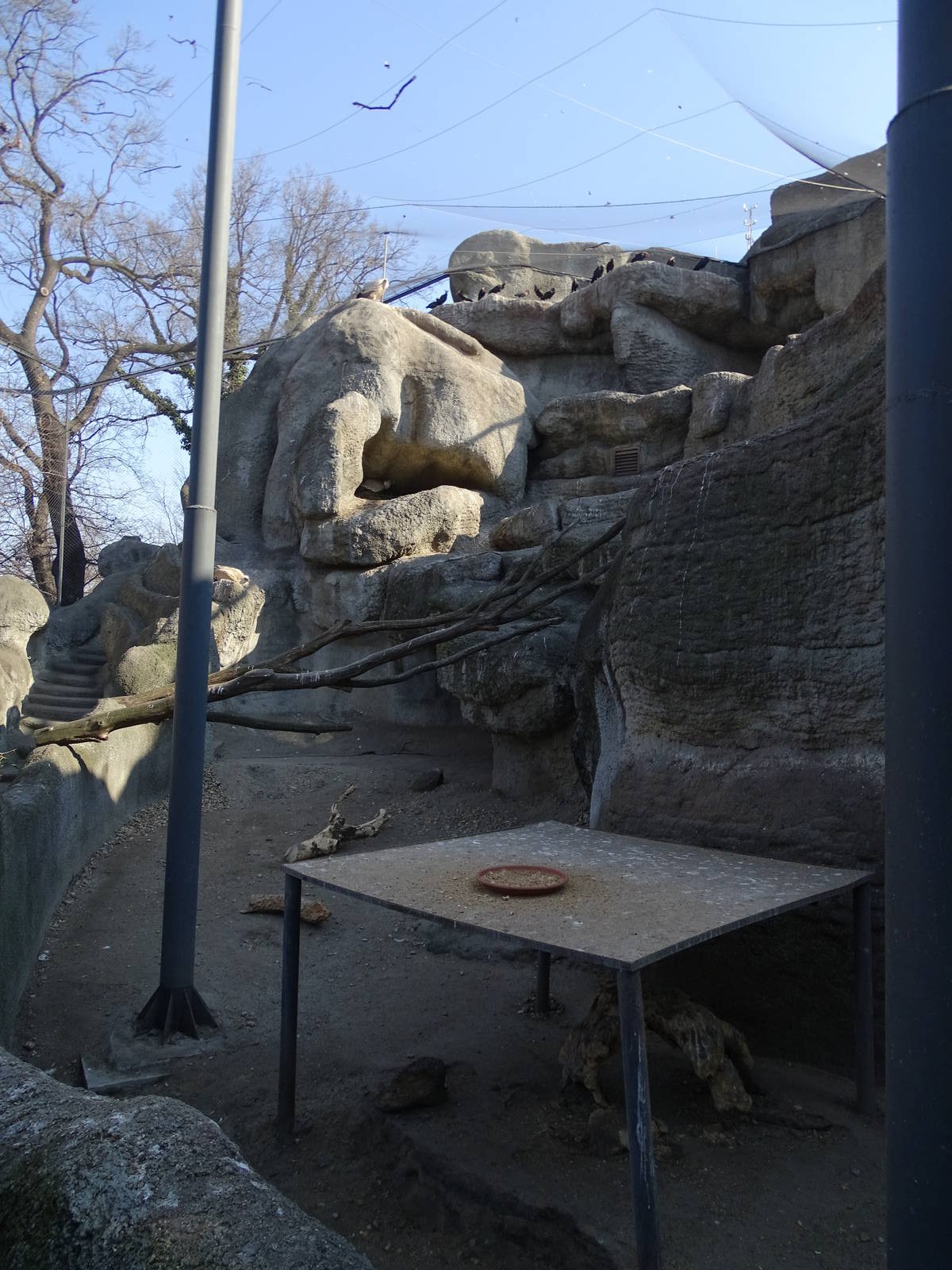 Big aviary, porcupine enclosure