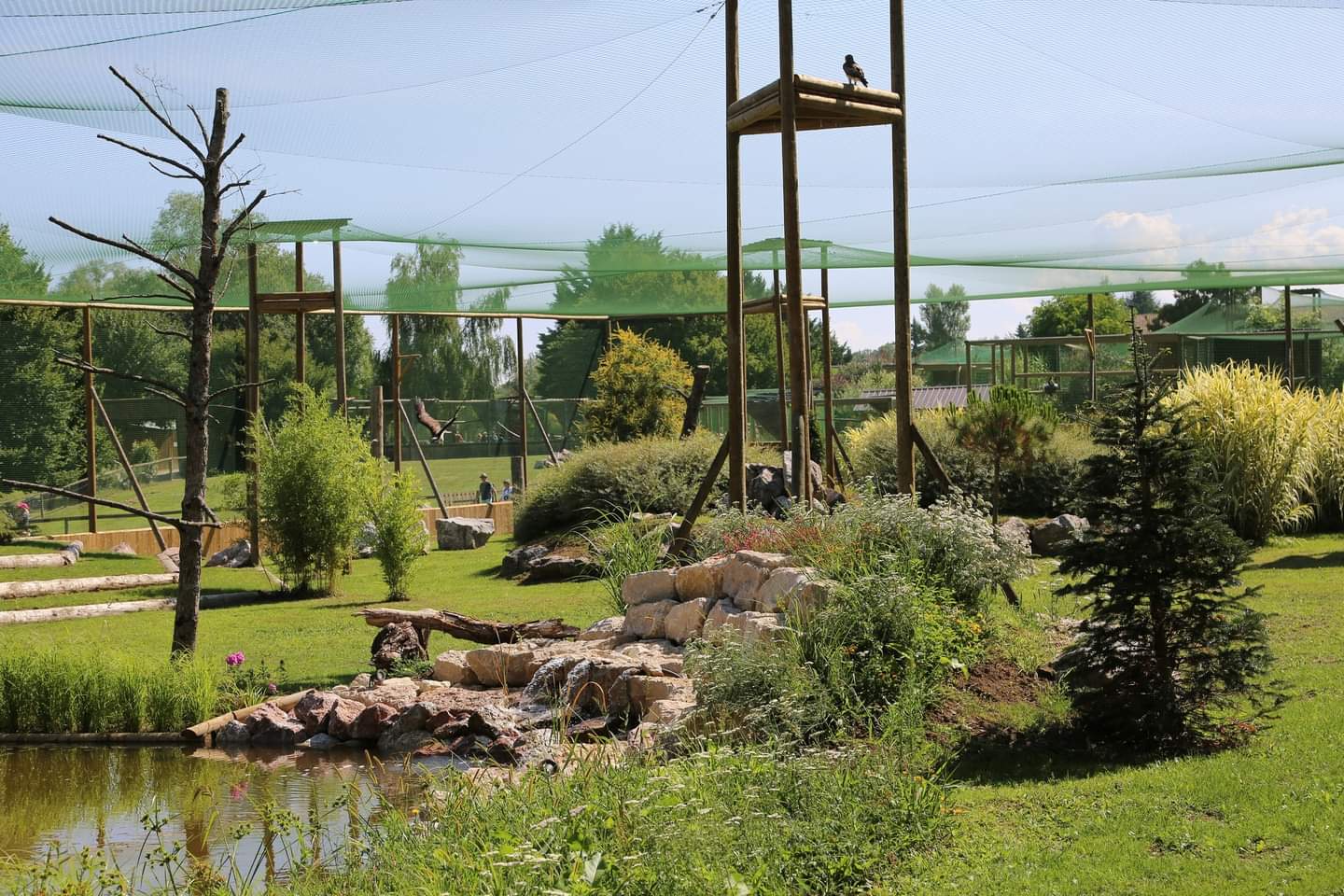 Big Aviary (Specie list in comment)