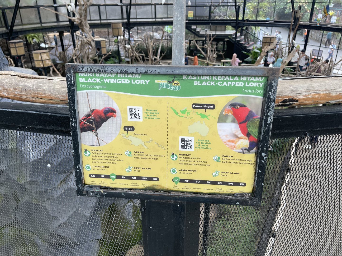 big bird aviary - black-winged & black-capped lory signage