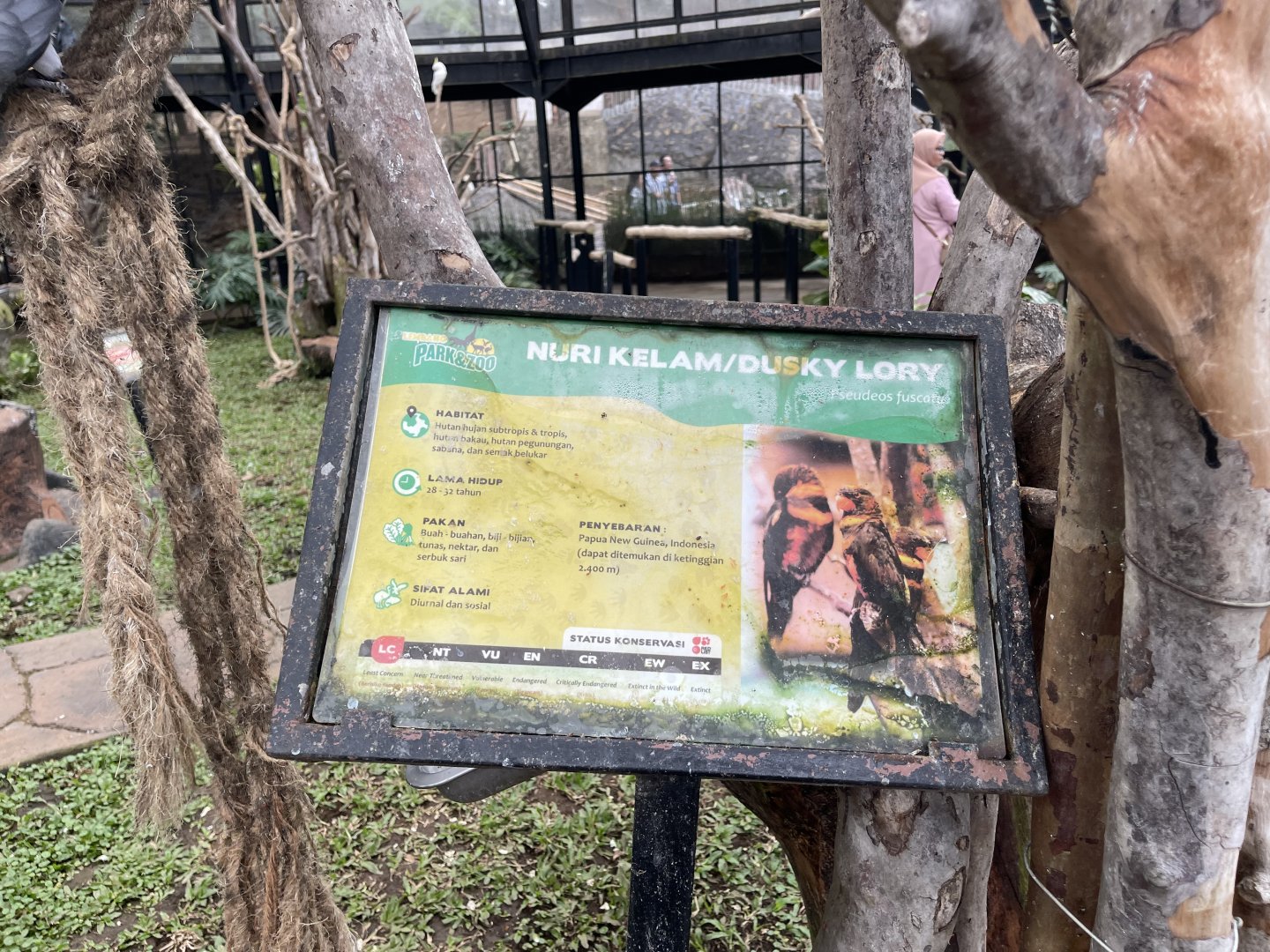 big bird aviary - dusky lory signage