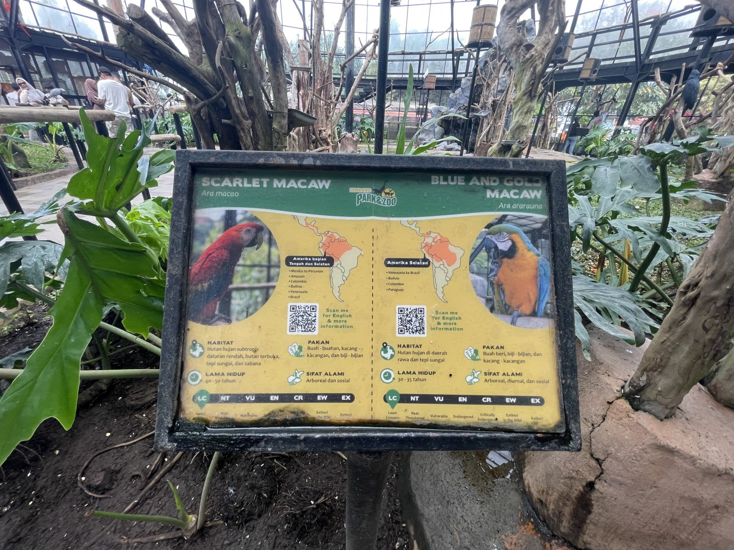 big bird aviary - scarlet & blue-and-gold macaw signage