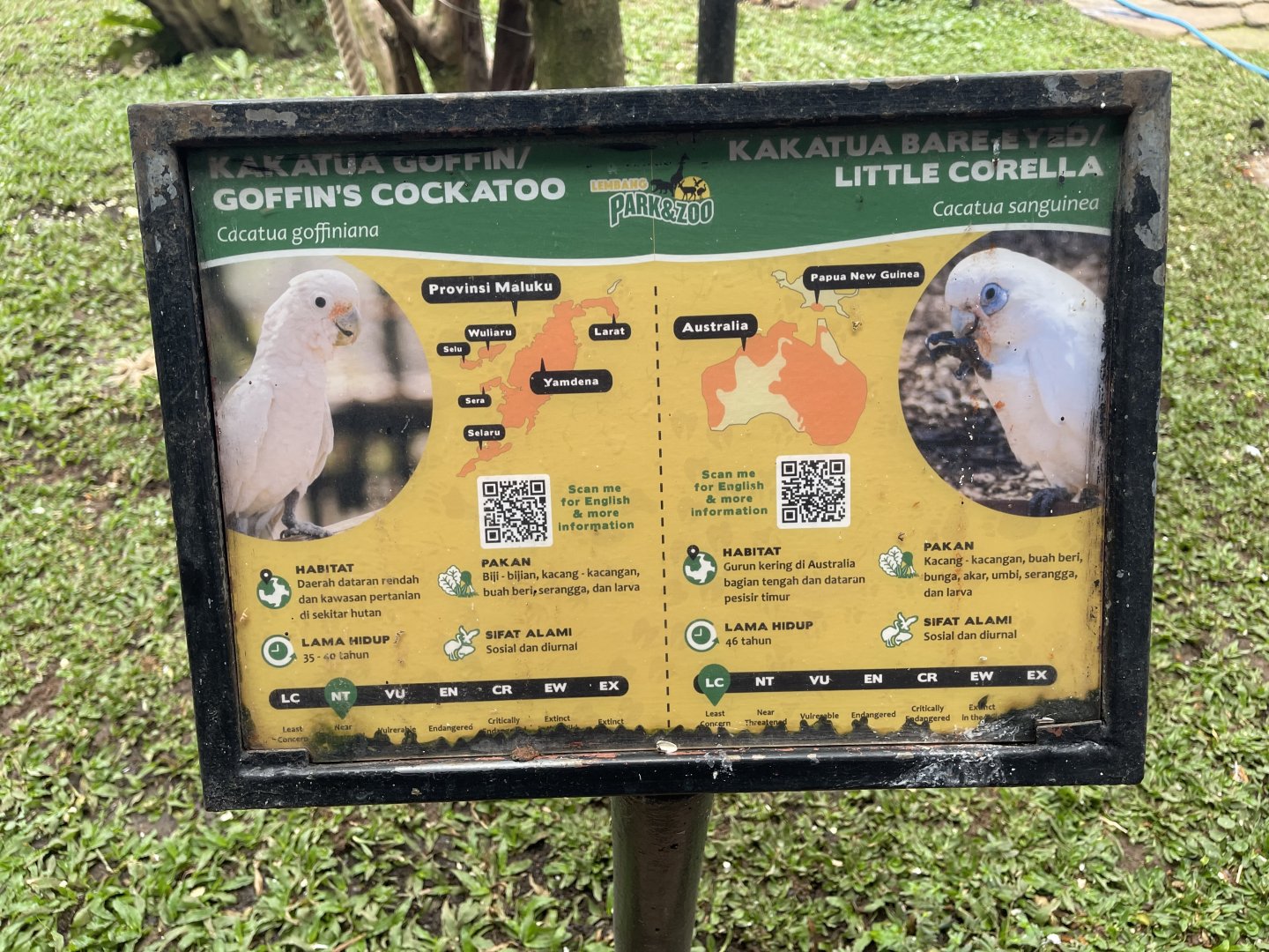 big bird aviary - tanimbar & little corella signage