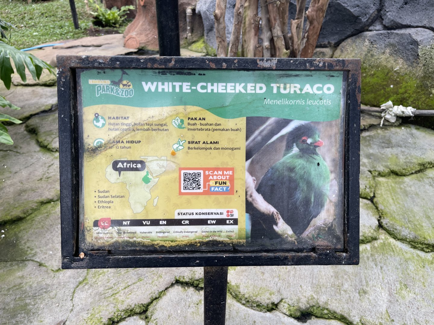 big bird aviary - white-cheeked turaco signage
