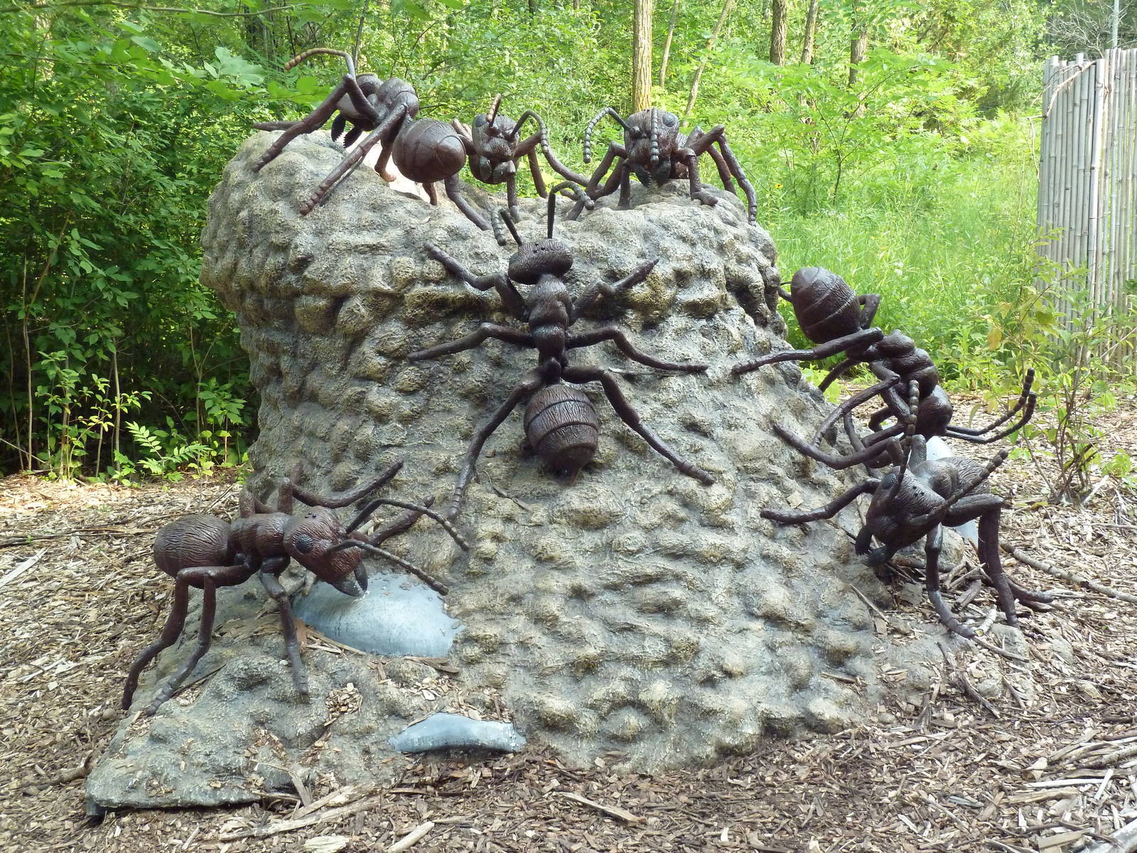 Big Bugs! - Seasonal Exhibit - Black Ants