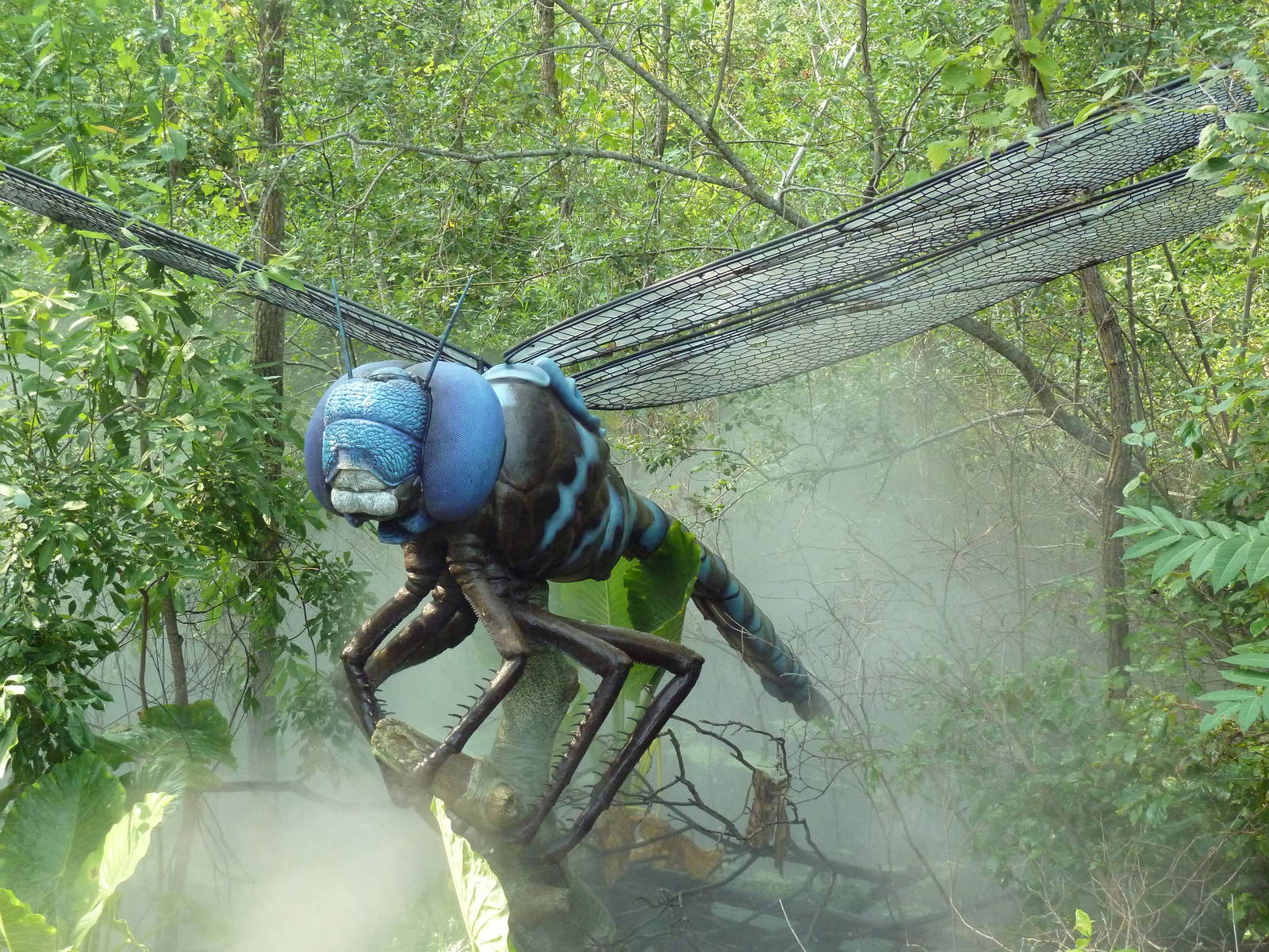 Big Bugs! - Seasonal Exhibit - Blue-Eyed Darner Dragonfly