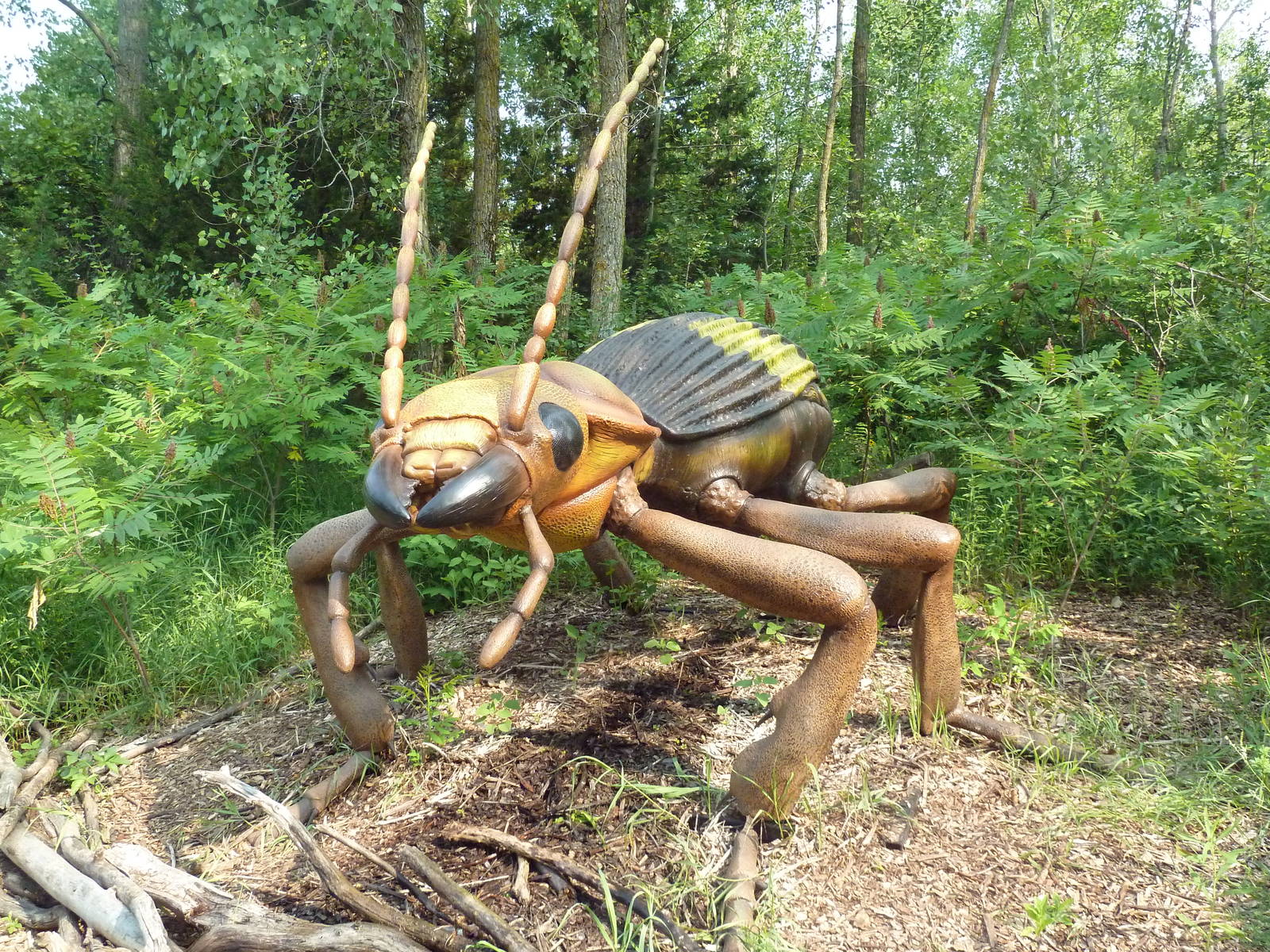 Big Bugs! - Seasonal Exhibit - Bombadier Beetle Shoots Water!