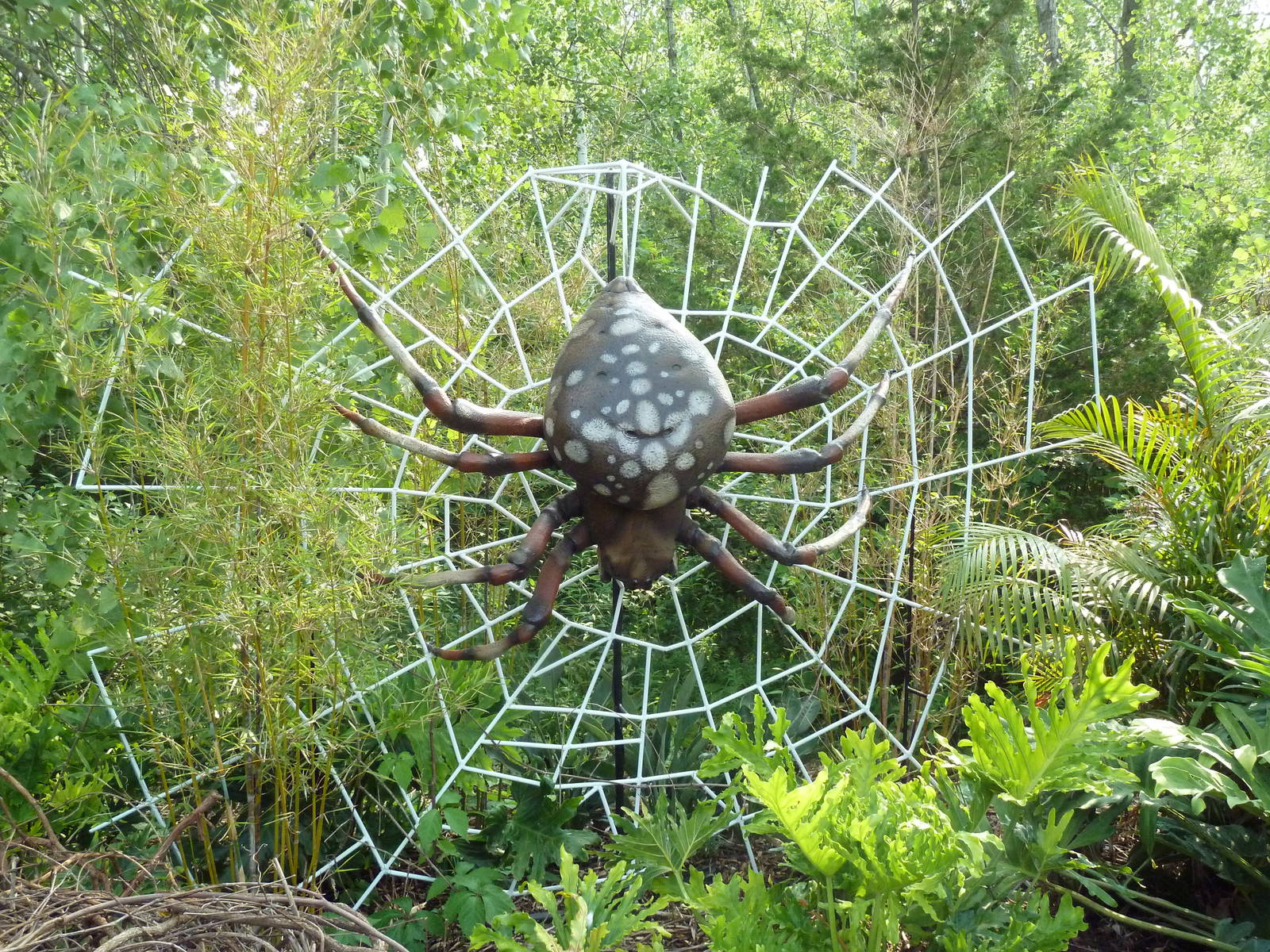Big Bugs! - Seasonal Exhibit - Orb Weaver Spider