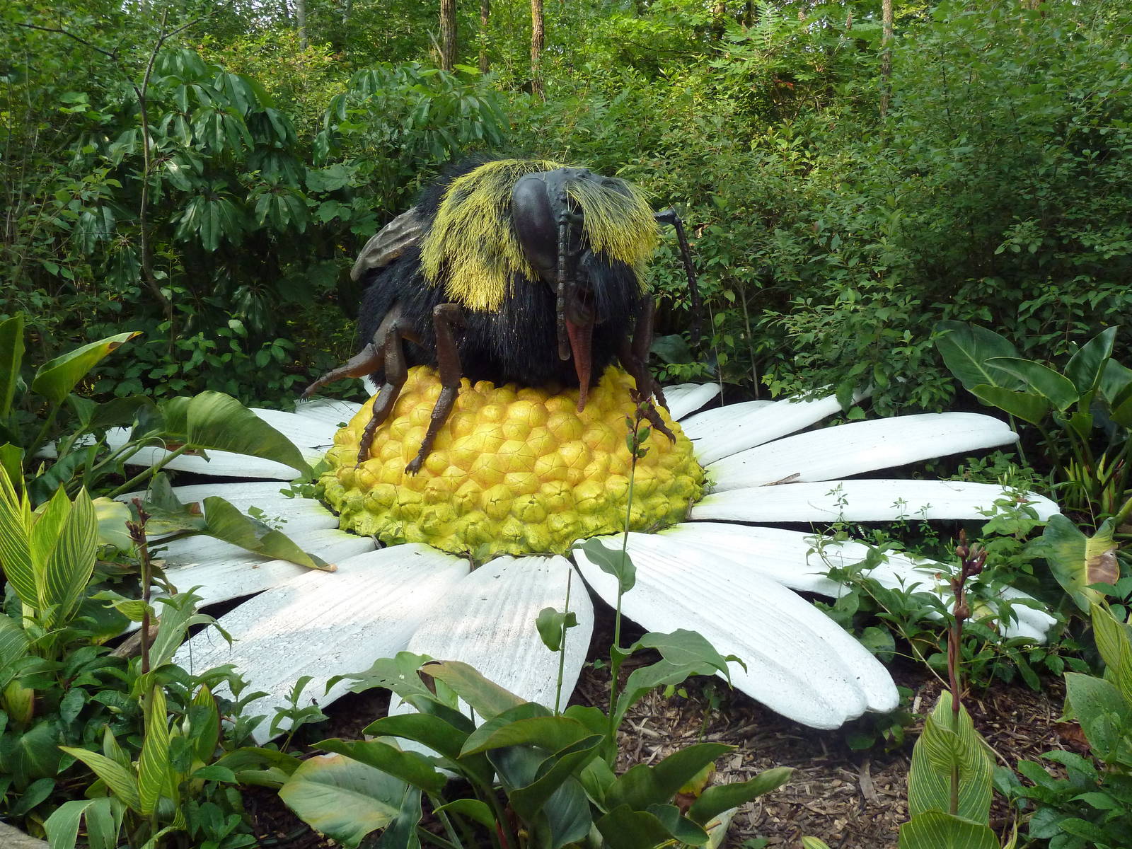 Big Bugs! - Seasonal Exhibit - Red-Tailed Bumblebee