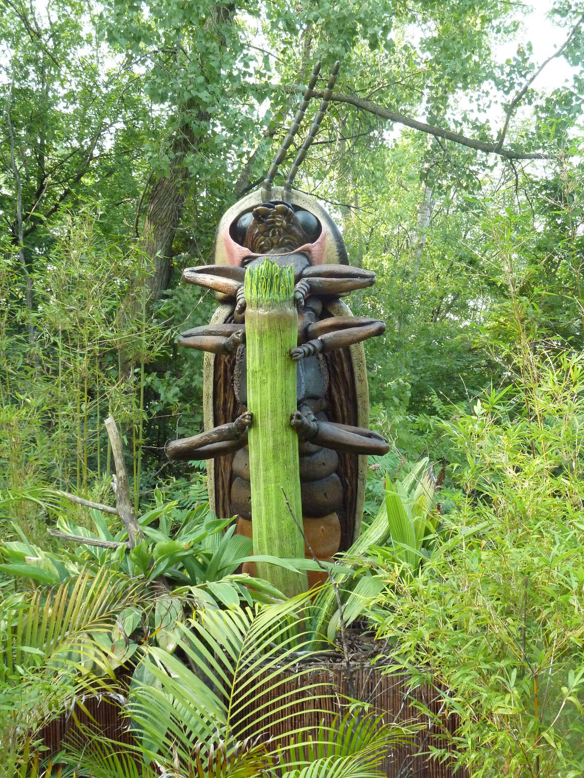 Big Bugs! - Seasonal Exhibit - Say's Firefly