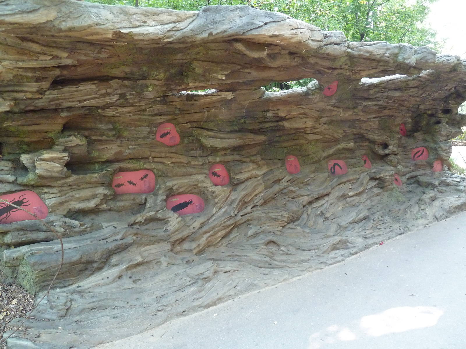 Big Bugs! - Seasonal Exhibit - Termites