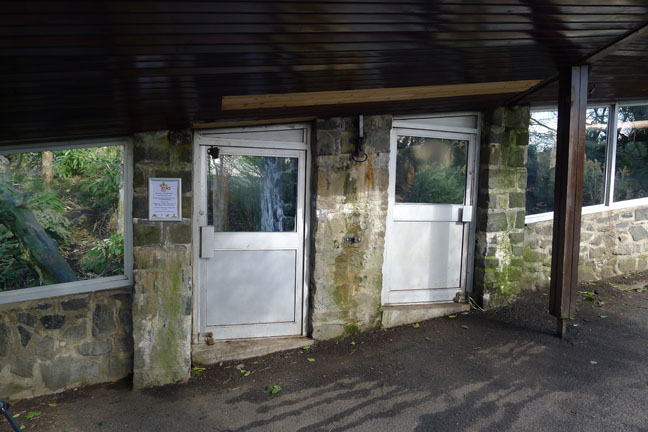 Big cat access doors