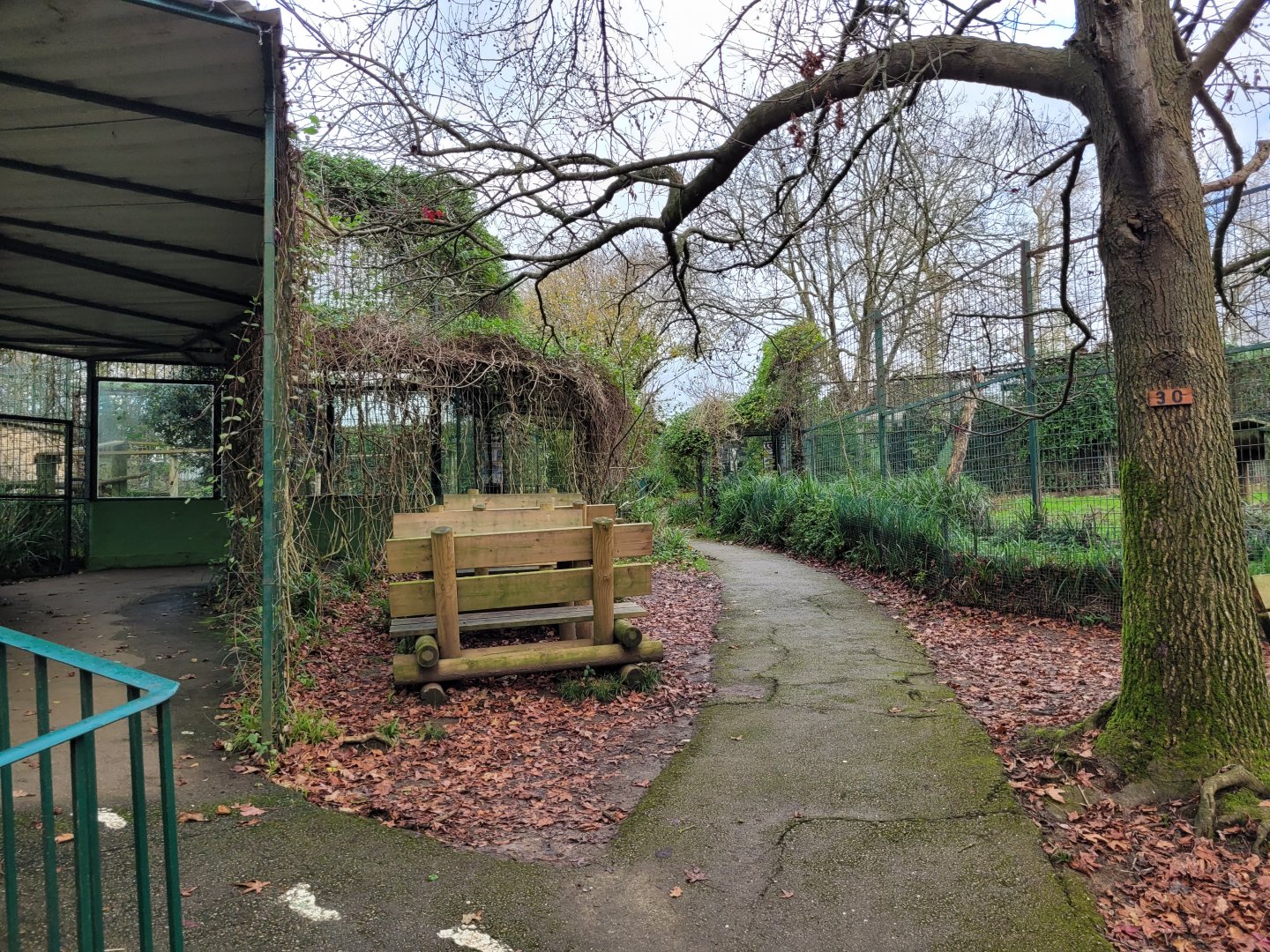 Big cat area -Zoo de Santillana del Mar (2023)