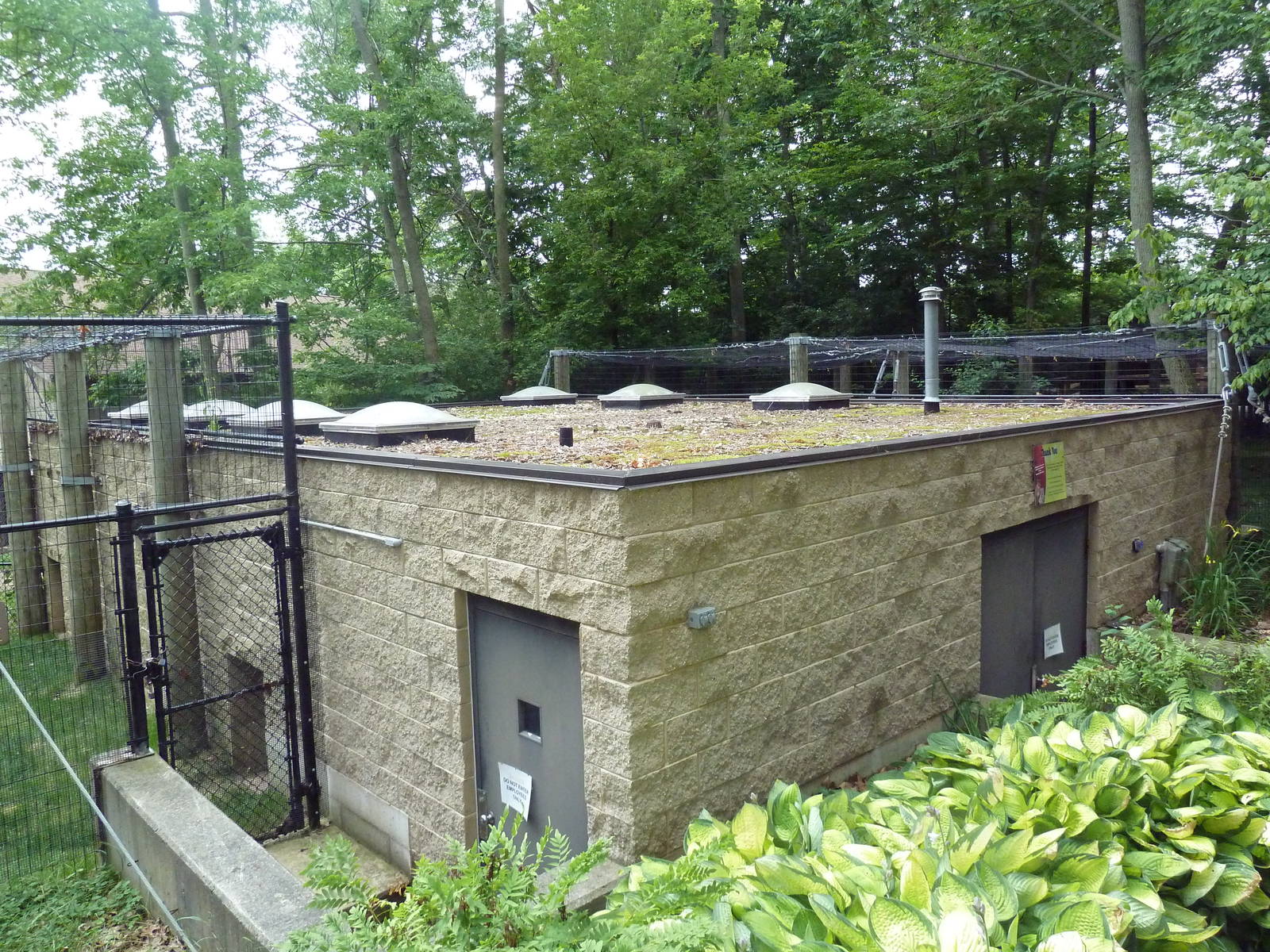 Big Cat Building (off-exhibit dens)