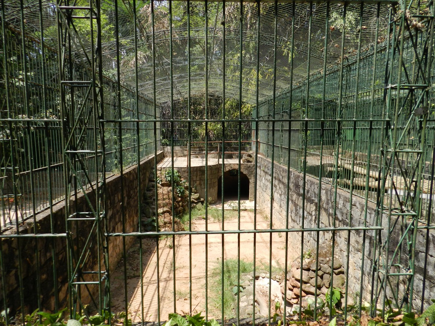 Big cat cage example (now empty) - Campinas zoo (BDJ)
