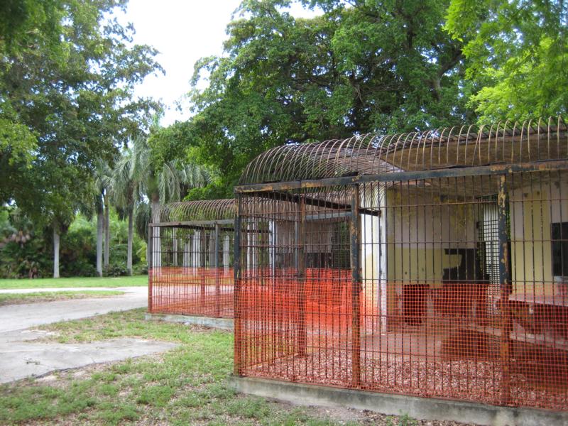 Big cat cages
