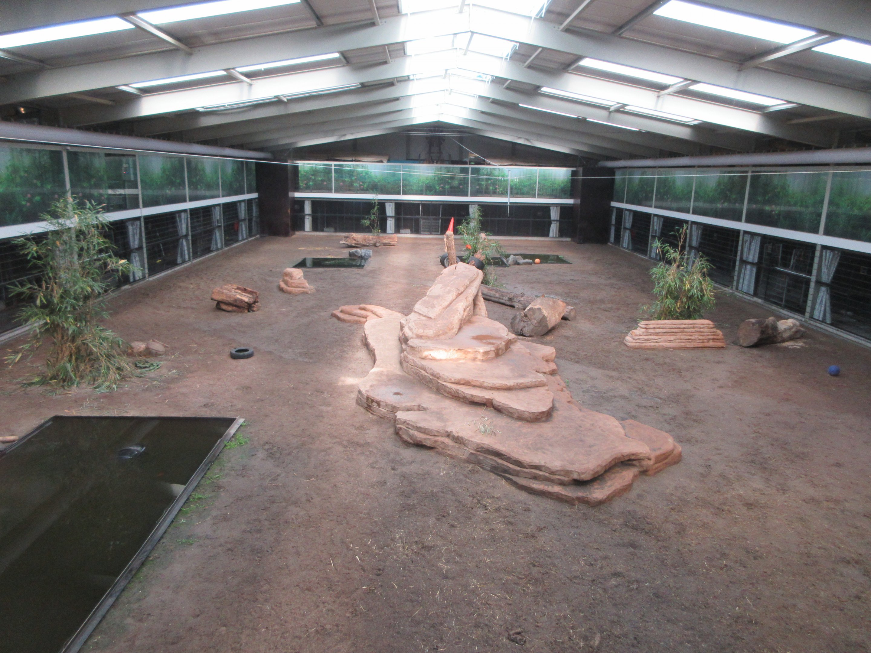 Big Cat Complex - Central Exhibit